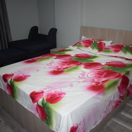 Apartament Parc Central Rhbm Baia Mare Exteriér fotografie