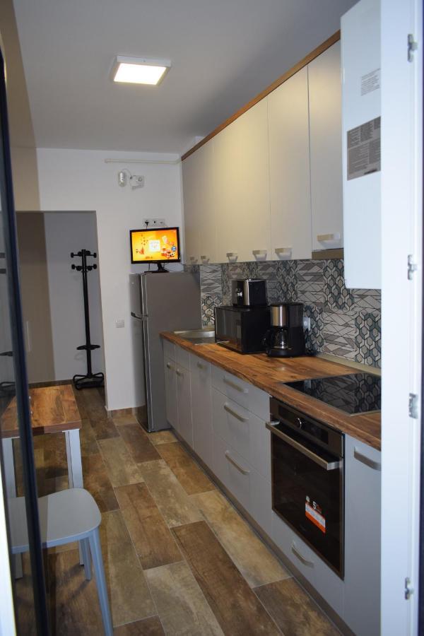Apartament Parc Central Rhbm Baia Mare Exteriér fotografie