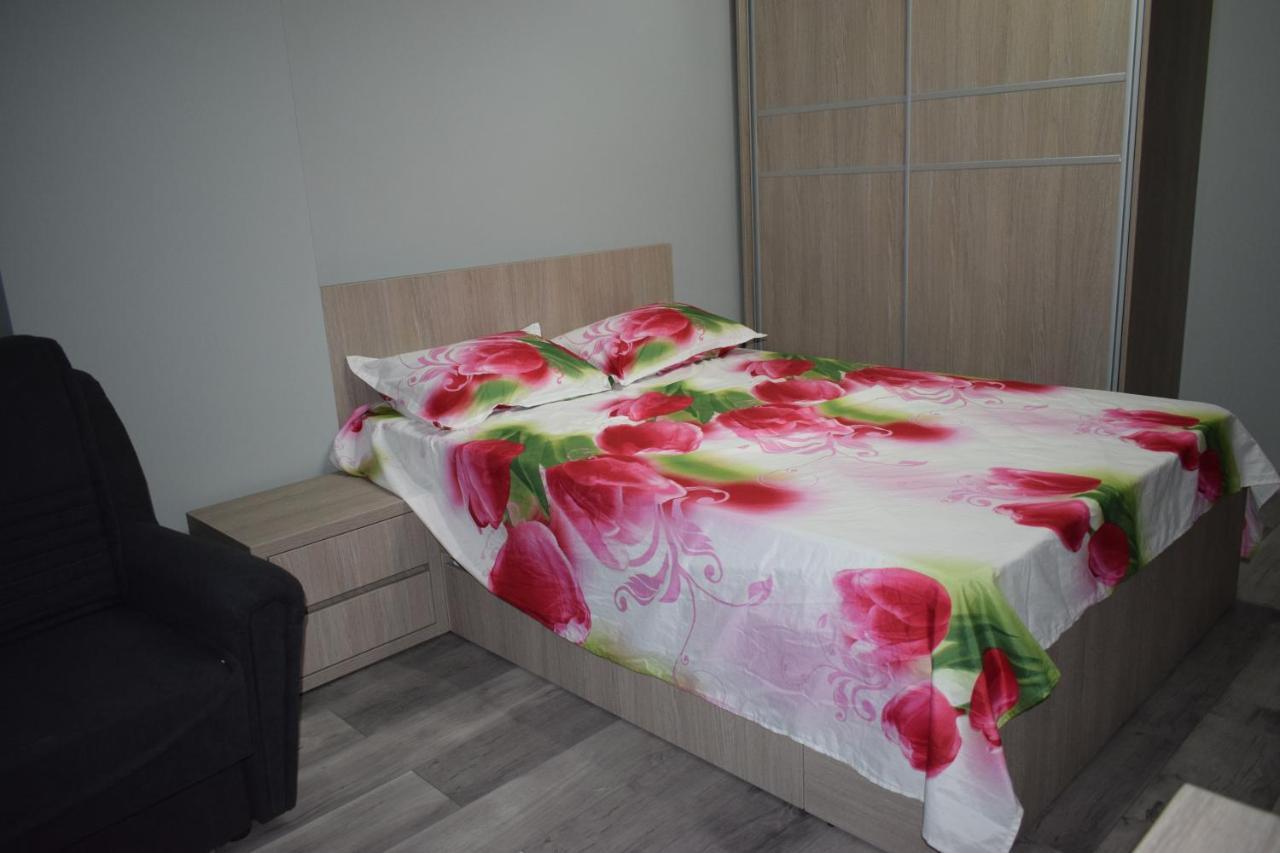 Apartament Parc Central Rhbm Baia Mare Exteriér fotografie